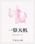 算命 天机