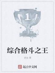 综合格斗王赛